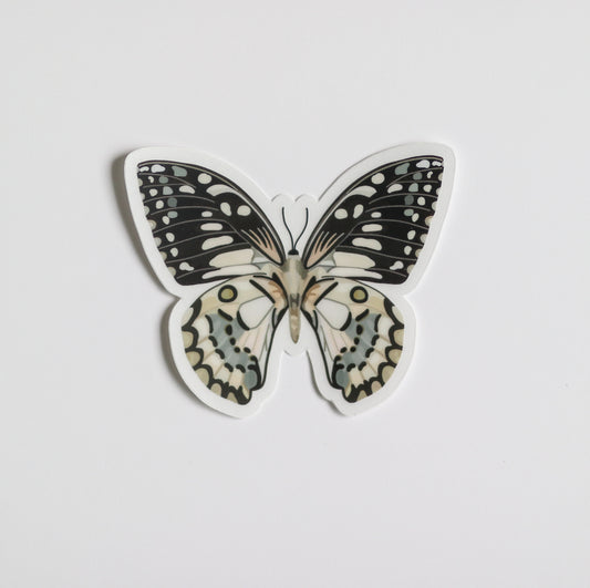 Butterfly Clear Sticker