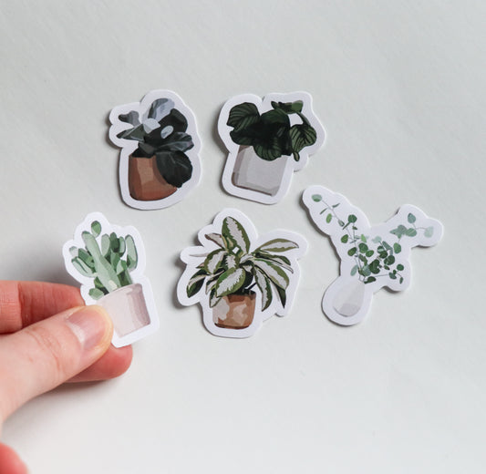 Mini Plant Collection