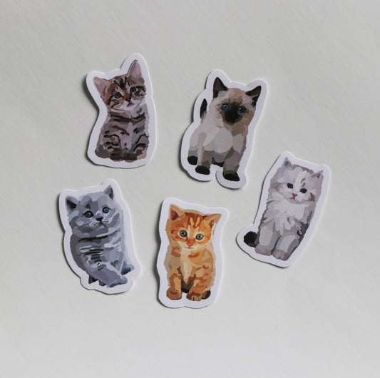 Mini Kitten Collection