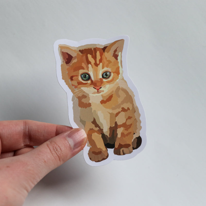 Ginger Kitten