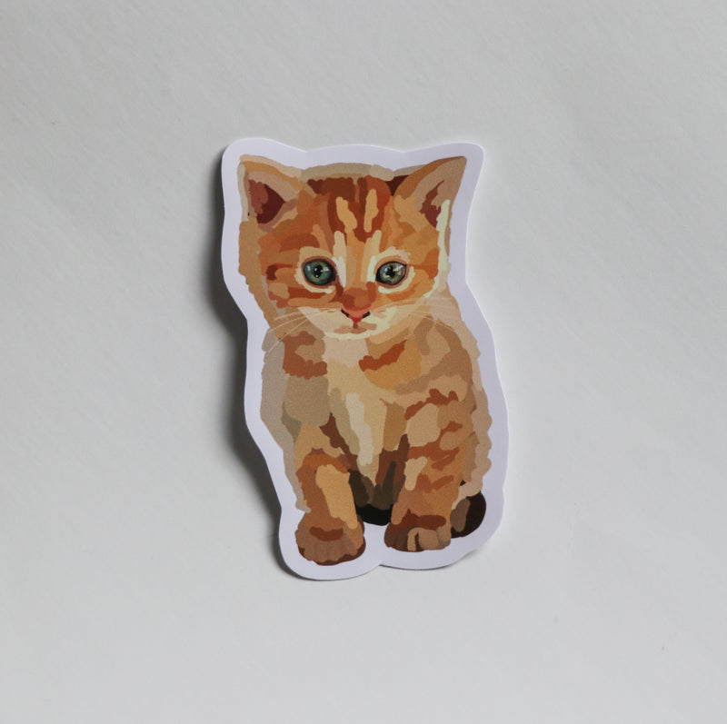 Ginger Kitten